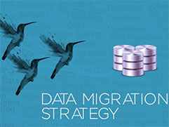 Data Migration Strategy – Planning & Executing